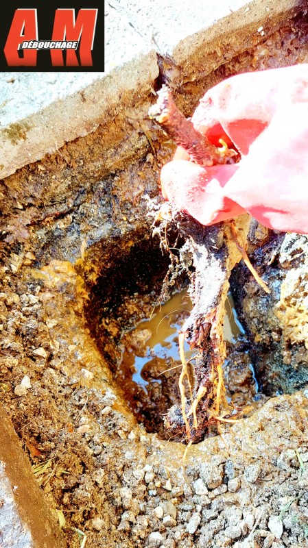 Intervention débouchage de canalisation autour de moi, dans un immeuble à La Ciotat